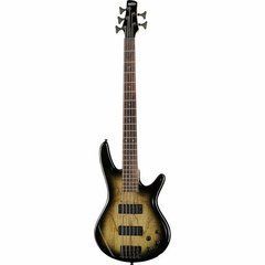 Бас-гитара Ibanez GSR205SM-NGT