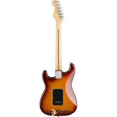 Електрогітара Fender Player Series Stratocaster HSH PF TBS