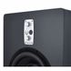 Сабвуфер Eve Audio TS110