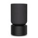 Акустика Bang & Olufsen BeoSound Balance AL2 Black oak