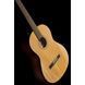 Класична гітара Fender CN-60S Natural WN