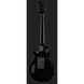 Електрогітара ESP LTD GH-200 BLK Gary Holt