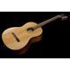 Класична гітара Fender CN-60S Natural WN