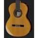 Класична гітара Alhambra Luthier Aniversario