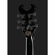 Електрогитара Schecter Synyster Gates Standard Gloss