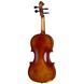 Акустическая скрипка Gewa Allegro Violin Set 1/2 OC CB