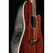 Акустична гітара Ovation Celebrity Tradition CS-28P-KOA