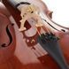 Акустическая виолончель Scala Vilagio Bohemia Performance Cello 7/8