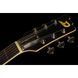 Електрогітара Duesenberg Paloma Vintage Burst