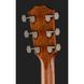 Акустична гітара Taylor 814ce Next Generation