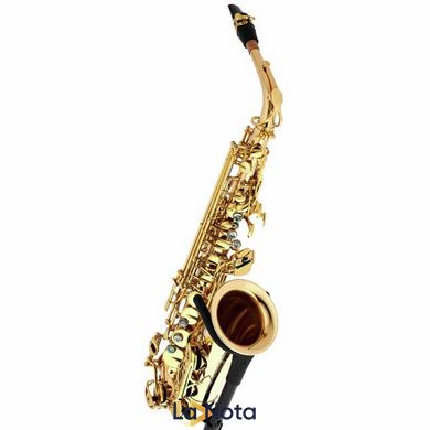 Саксофон Thomann TAS-580 GL Alto Sax