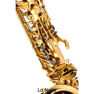 Саксофон Thomann TAS-580 GL Alto Sax