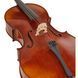 Акустична віолончель Gewa Allegro VC1 Cello Set 4/4 FT