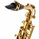 Саксофон Thomann TAS-580 GL Alto Sax