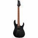 Електрогітара Ibanez RGRT421-WK