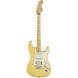 Електрогітара Fender Player Series Stratocaster HSS MN BCR