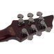 Електрогітара Schecter Hellraiser C-VI BCH