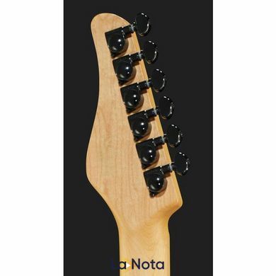 Електрогитара Schecter PT BK