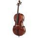 Віолончель Gewa Maestro 2 Cello 1/2