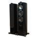 Підлогова акустика Taga Harmony Platinum F-100 SE Piano Black Lacquer