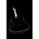 Електрогитара Schecter PT BK