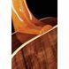Акустична гітара Gibson SJ-200 Studio Walnut AN