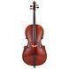 Акустическая виолончель Scala Vilagio Bohemia Student Cello 7/8
