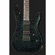 Електрогітара ESP LTD H-1001 QM See Thru Black