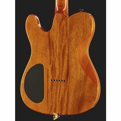 Електрогитара Fender Custom Telecaster FMT HH AM IL