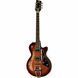Електрогітара Duesenberg Starplayer TV Vintage Burst