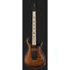 Електрогітара PRS CE 24 Dustie Waring Floyd B8