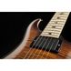 Електрогітара PRS CE 24 Dustie Waring Floyd B8