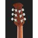 Акустическая гитара Ovation Celebrity Elite CE44-RRB-G