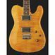 Електрогитара Fender Custom Telecaster FMT HH AM IL