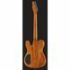 Електрогитара Fender Custom Telecaster FMT HH AM IL