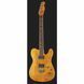 Електрогитара Fender Custom Telecaster FMT HH AM IL