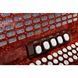 Баян Weltmeister 620 Styrian Harmonica