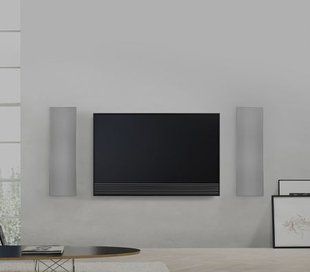 Вбудована акустика Bang & Olufsen Palatial BOP THTR 66