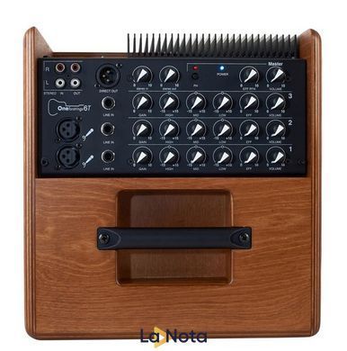 Комбопідсилювач Acus One-6T Wood