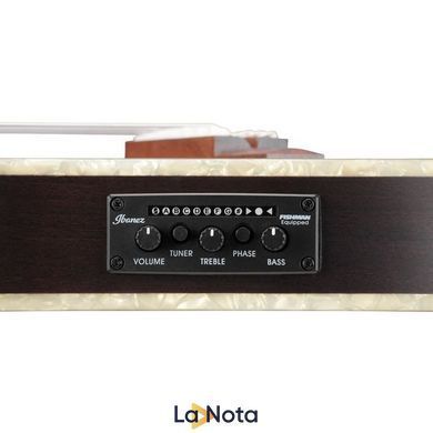 Классическая гитара Ibanez TOD10N