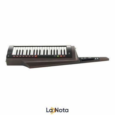 Синтезатор Korg RK-100S 2 Black
