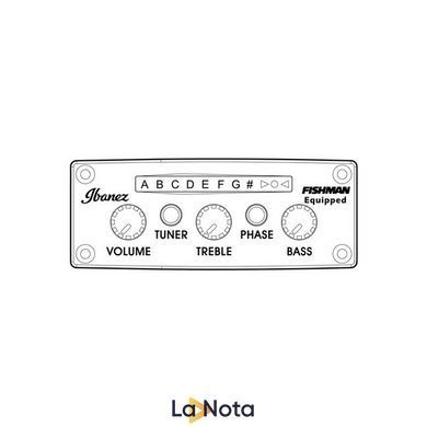 Классическая гитара Ibanez TOD10N