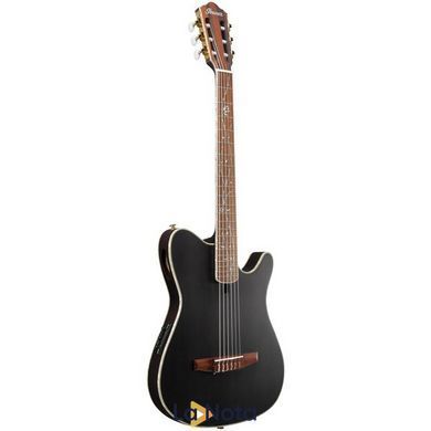 Классическая гитара Ibanez TOD10N