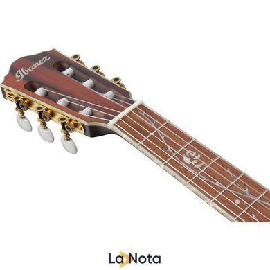 Классическая гитара Ibanez TOD10N