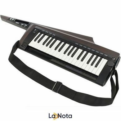 Синтезатор Korg RK-100S 2 Black