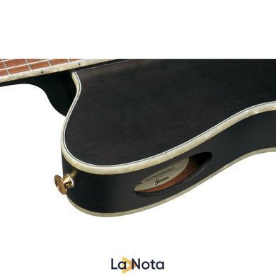 Классическая гитара Ibanez TOD10N