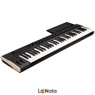 MIDI-клавиатура Korg Keystage 61
