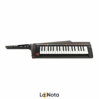 Синтезатор Korg RK-100S 2 Black