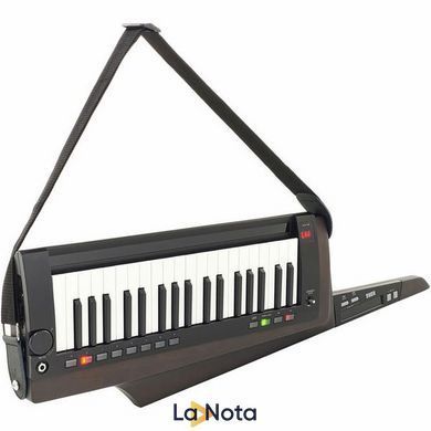Синтезатор Korg RK-100S 2 Black