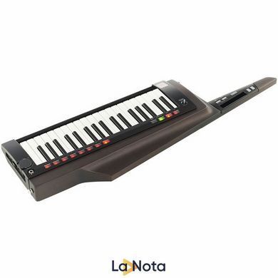 Синтезатор Korg RK-100S 2 Black